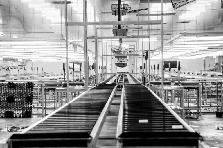 5 ways a reliable conveyor system can boost your manufacturing efficiency 5e